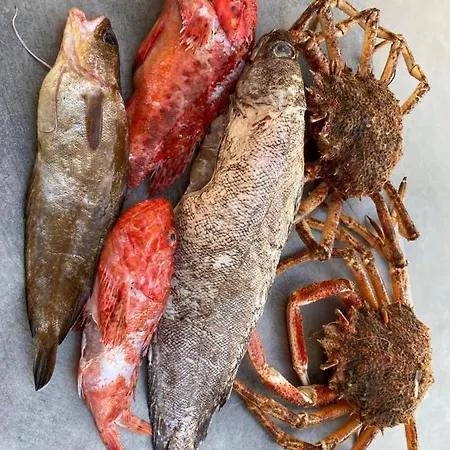 Gæstehus Alba Rosula Ajaccio (Corsica)