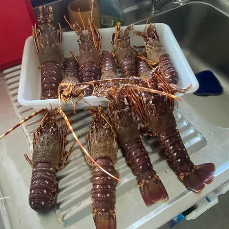 Alba Rosula 3* Ajaccio (Corsica)