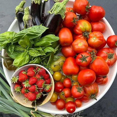 Alba Rosula Gasthof 3*