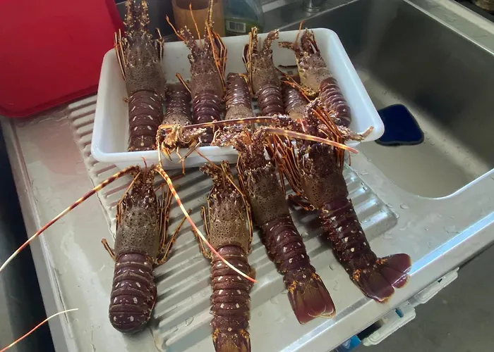 Alba Rosula 3* Ajaccio (Corsica)