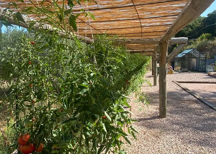 Alba Rosula 3* Ajaccio (Corsica)