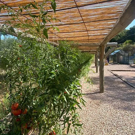 Alba Rosula 3* 아작시오